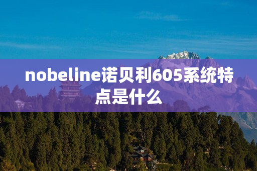 nobeline诺贝利605系统特点是什么