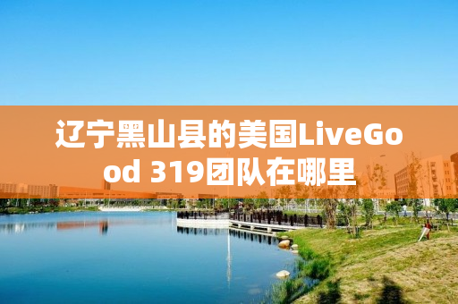 辽宁黑山县的美国LiveGood 319团队在哪里