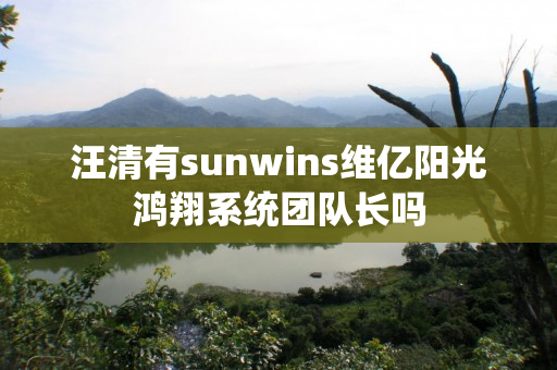 汪清有sunwins维亿阳光鸿翔系统团队长吗