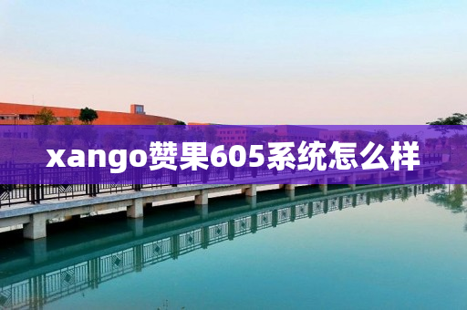 xango赞果605系统怎么样