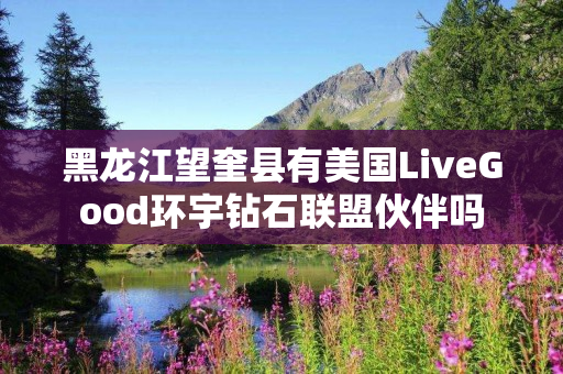 黑龙江望奎县有美国LiveGood环宇钻石联盟伙伴吗