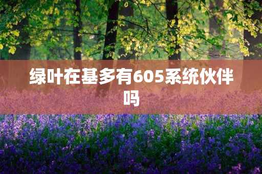 绿叶在基多有605系统伙伴吗